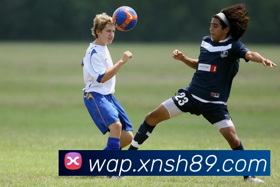 乐鱼手机在线登录入口平台生态图